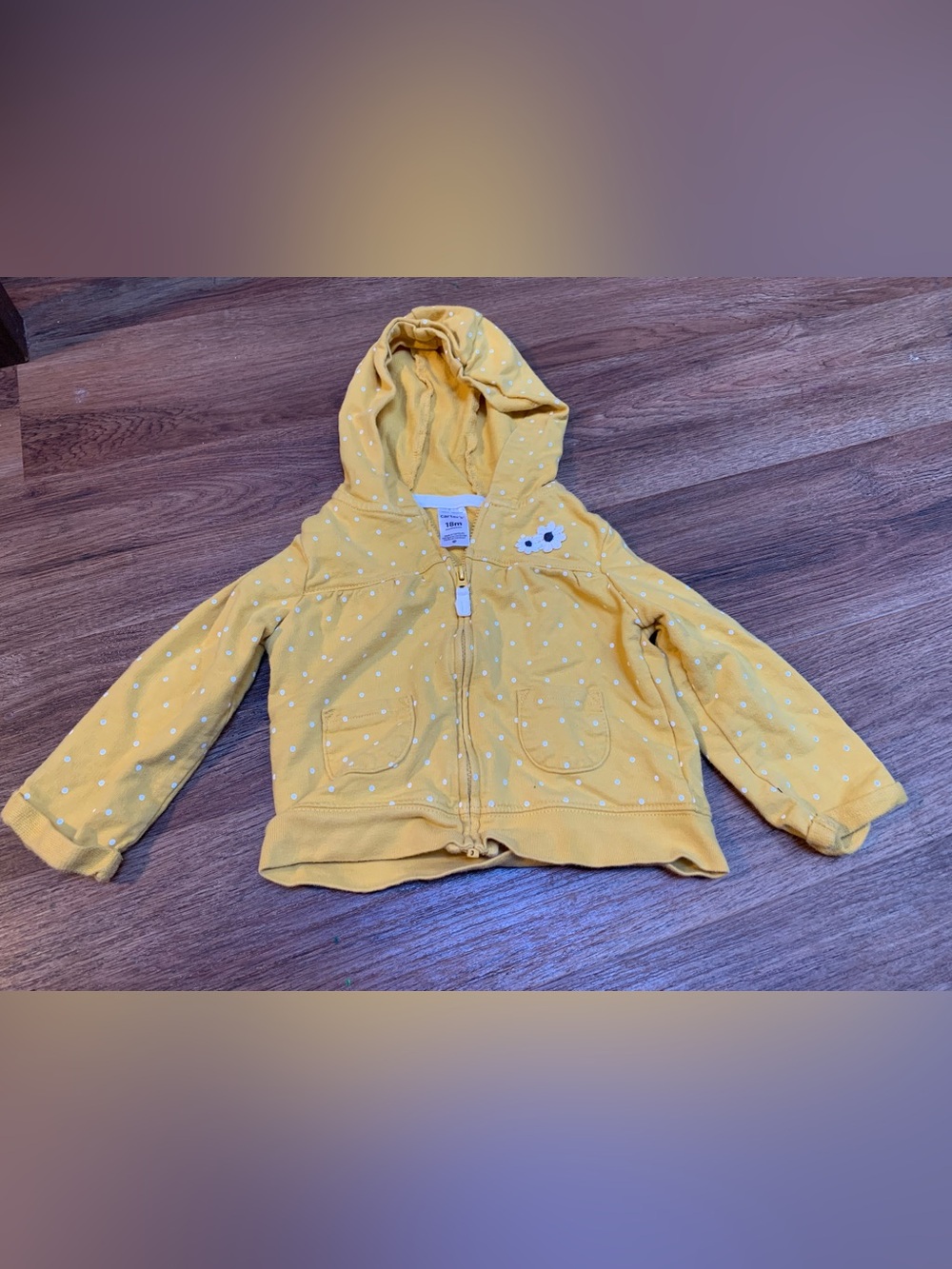 Toddler Girl Hooded Jacket